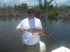 Redfish Charlotte Harbor