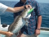 img_20120327_135000